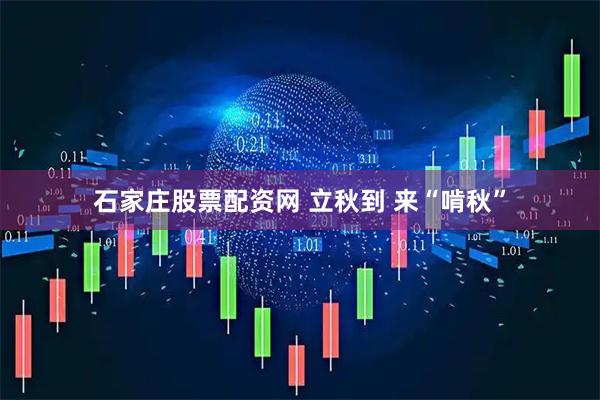 石家庄股票配资网 立秋到 来“啃秋”