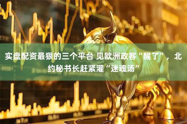 实盘配资最狠的三个平台 见欧洲政客“醒了”，北约秘书长赶紧灌“迷魂汤”