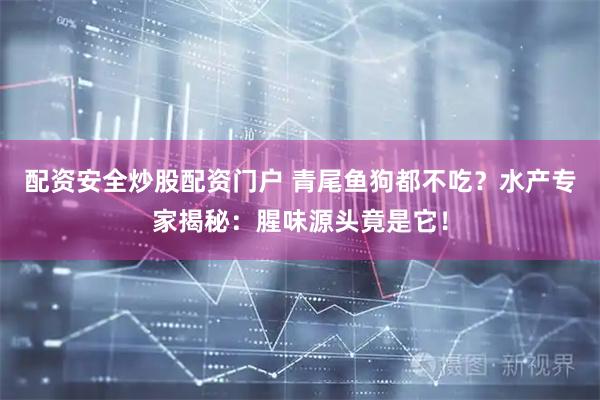 配资安全炒股配资门户 青尾鱼狗都不吃？水产专家揭秘：腥味源头竟是它！