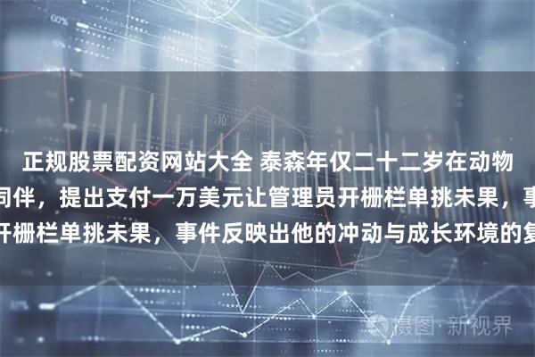 正规股票配资网站大全 泰森年仅二十二岁在动物园看到银背大猩猩欺负同伴，提出支付一万美元让管理员开栅栏单挑未果，事件反映出他的冲动与成长环境的复杂交织